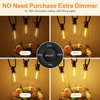 LaPitio 100FT Remote Outdoor String Lights for Outside, 50+2 LED Waterproof Shatterproof Edison Dimmable Timer Bulbs, 2500K Warm White Patio Lights for Garden Backyard Yard Hanging Lighting