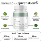 BIG BOLD HEALTH HTB Immune Rejuvenate - Himalayan Tartary Buckwheat - Polyphenols Supplement for Immune Support - Gluten Free, Dairy Free, Non-GMO Formula - 120 Vegetarian Capsules (2 Month Supply)