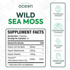 Organics Ocean Wild Sea Moss Capsules - 100% Organic Irish Sea Moss with Organic Chlorella, Bladderwrack and Vitamin D for Energy, Lung Health and Thyroid Support for Women and Men - 60 Capsules
