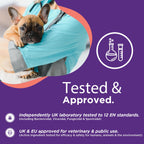 RenaSan Animal Antiseptic Ear Drops – Ear Disinfection, Kills bacteria, Stops Odours, Scratching & Discomfort, Anti-fungal (Yeast), Veterinary-grade, for Dogs, Cats & all other animals (100ml)