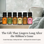 P&J Trading Fragrance Oil Winter Set | Cinnamon, Gingerbread, Sugar Cookies, Harvest Spice, Peppermint, and Christmas Wreath Candle Scents for Candle Making, Freshie Scents, Soap Making Supplies