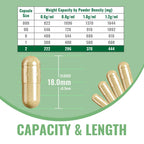 ATNreuro Size 2 Empty Vegan Capsules with 2 Micro Spoons - 1000 Count Vegetarian Capsule - Empty Pill Capsules for Powders Supplements