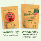 WonderDay Extra Strength Mushroom Gummies – Sugar Free Lion’s Mane, Cordyceps, Reishi & Chaga Supplement for Adults – Mood Boost, Energy, Focus, Immune Support & Gut Health – Vegan, Non-GMO (60 Count)