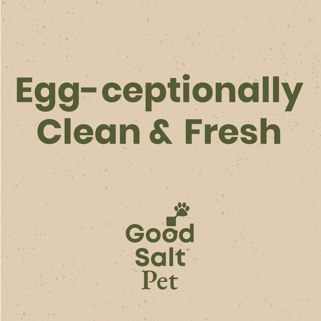 Good Salt Pet Fresh Nest Egg Wash, Natural Cleaner for Freshly Laid Eggs, Made in the USA, 1 Gallon Bottle