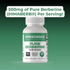 MYOXCIENCE Pure Berberine Himaberb | 500 mg of Berberine HCl per Serving | 90 Servings