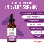 MaryRuth Organics Toddler Elderberry Syrup, USDA Organic Elderberry, Sugar Free Kids Immune Support Supplement for Ages 1-3 Years, Clean Label Project Verified®, Vegan, Non-GMO, Gluten Free, 1 Fl Oz