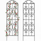 Thealyn Garden Trellis 2 Pack 80 Inch.H x 22 Inch.W