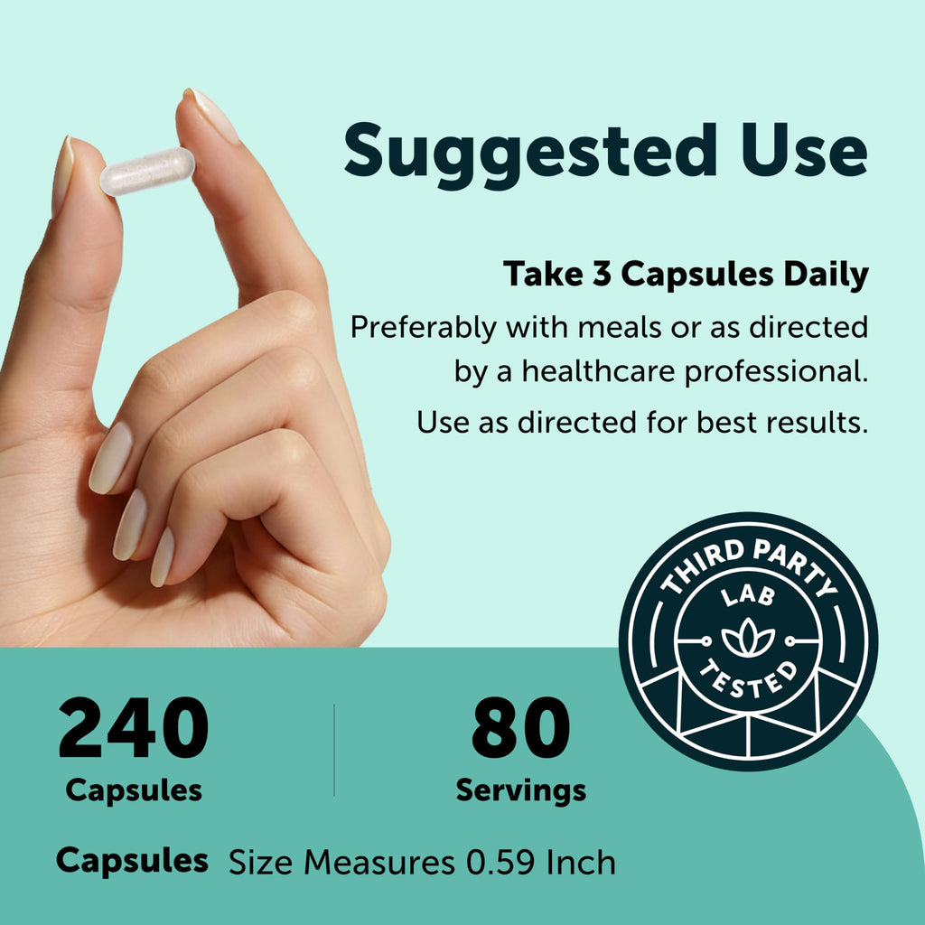 Micro Ingredients Phosphatidylserine 600 mg Per Serving, 240 Capsules | Soy Free Phosphatidylserine Supplement with Choline, Lion’s Mane, Ginkgo & Omega-3 | Non-GMO, Gluten Free