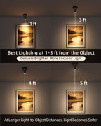 EZVALO Spotlights Indoor with Remote, 5500mAh Rechargeable Picture Lights, Wireless Uplights with Timer & Dimmable, 3-CCT, Accent Lighting for Plant, Art, Painting, Gallery, Wall Decor (2-Pack Black)