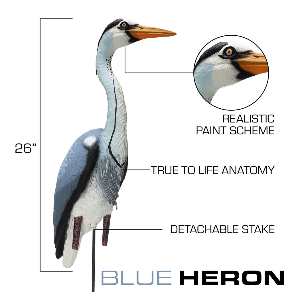 Higdon Outdoors Blue Heron Confidence Decoy for Waterfowl and Ornamental Water Garden, Pond and Landscape Decoration Plus Pest Deterrent