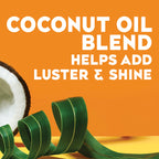 OGX Locking + Coconut Curls Finishing Mist, 6 Ounce Bottle, Curl Spray