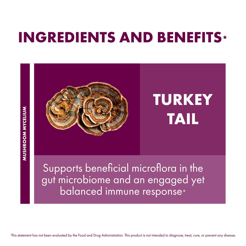 Host Defense Turkey Tail Capsules, 240 ct (Pack of Two 120 ct Units)
