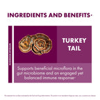 Host Defense Turkey Tail Capsules, 240 ct (Pack of Two 120 ct Units)