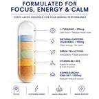 Vytrition Focus, Brain & Energy Supplement, 60 Count — Green Tea L-Theanine 200mg + Natural Caffeine 100mg — Calm Focus, Mental Clarity, No-Crash Energy — Vegan, Methylated B-Vitamins, Lab-Tested