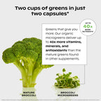 wholier Supergreens Multi Capsules, Organic Microgreens, Daily Greens, Prebiotics, Vitamins & Minerals, Multivitamin for Men & Women for Gut Health and Energy Support, Vegan, Gluten Free, 60 Capsules