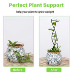 Goooxim DNA Spiral Plant Trellis Indoor - Durable Metal Trellis for Potted