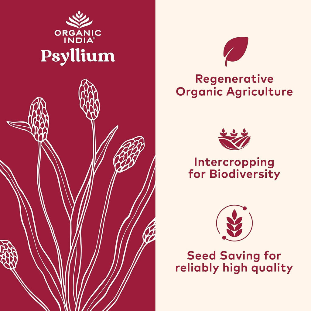ORGANIC INDIA Psyllium Herbal Powder - Whole Husk Fiber, Vegan, Gluten-Free, USDA Certified Organic, Non-GMO, Soluble & Insoluble Fiber Source - 12 Oz Canister (Pack of 1)