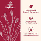 ORGANIC INDIA Psyllium Herbal Powder - Whole Husk Fiber, Vegan, Gluten-Free, USDA Certified Organic, Non-GMO, Soluble & Insoluble Fiber Source - 12 Oz Canister (Pack of 1)
