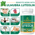 Ulmubra 800 MG Liposomal Luteolin Supplement - Maximum Absorption, Premium Antioxidant Supplement for Brain & Overall Well-Being, 60 Softgels - 30-Day Supply