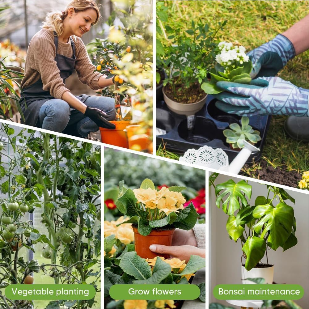 Upgrade Stackable Monstera Plant Support,2026 New Durable Garden Plant Support Stakes for Indoor Outdoor Potted Plants,Garden Accessories Plant Sticks for Vine Training Stem Stabilization (5, Green)