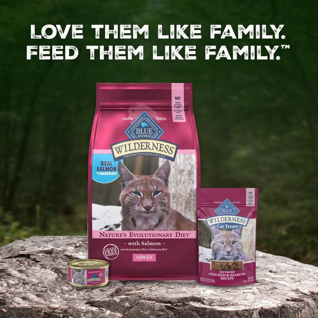 Blue Buffalo Wilderness Salmon Adult Dry Cat Food, Grain-Free, 5 lb
