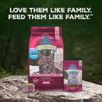 Blue Buffalo Wilderness Salmon Adult Dry Cat Food, Grain-Free, 5 lb