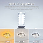 Sailstar 10 Pack Dimmable G9 LED Bulb, 400 Lumen, 6000K Daylight White, T4 G9 4W Replacement for 40 Watts Halogen, Ceramic Bi-Pin Base, 360°Beam Angle, 120V G9 Light Bulbs for Chandelier