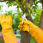 Acdyion Thorn Proof Gardening Gloves for Men & Women,yellow,Large