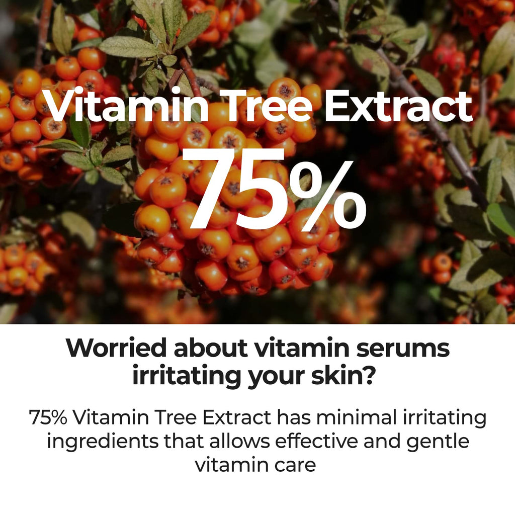 numbuzin No.5 Serum | Goodbye Blemish Serum | for Acne Scars with Vitamin C, Niacinamide, Antioxidant | Lightweight Gel, Korean Skincare for Face | 1.69 fl. oz.