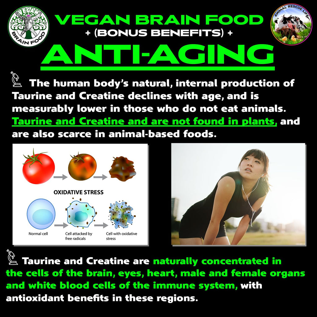 Vegan's Best Friend - Plant Based Multivitamin For Men & Women - Brain, Memory, Energy, Immune, Mood & Stress Support - Replaces 7 Supplements - Creatine, B12, D3, Choline, Zinc, Taurine - 40 Servings