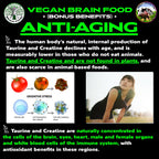 Vegan's Best Friend - Plant Based Multivitamin For Men & Women - Brain, Memory, Energy, Immune, Mood & Stress Support - Replaces 7 Supplements - Creatine, B12, D3, Choline, Zinc, Taurine - 40 Servings