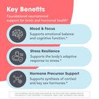 Allergy Research Group ARG Pregnenolone 100 mg - Micronized Hormone Precursor Support - Highly Bioavailable - Hypoallergenic - 60 Servings - 60 Scored Tablets