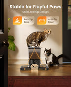 oneisall Automatic Cat Feeder for 2 Cats Pets, Timed Cat Food Dispenser