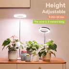 GTRUIIDY Desktop Grow Light, Full Spectrum Plant Light with Timer, Height Adjustable Halo Grow Lamp for Indoor Plants, 3 Lighting Modes for Seedlings & Succulents, White