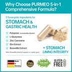 purmeo 4 Pack MagenVital Pylopass H. Pylori Probiotic Supplement - 1 Per Day - Gastritis, Acid Reflux, Heartburn, Stomach Lining Repair - Lactobacillus Reuteri DSM17648 - Made in Germany