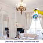 Bundle of Sparkle Plenty Chandelier Cleaner Drip Dry Spray No Wipe & Silk Plant Cleaner Spray No Wipe - Dust Cleaning Supplies for Fake Plant, Artificial Flower, Shower Glass or Window Screen (32 oz)