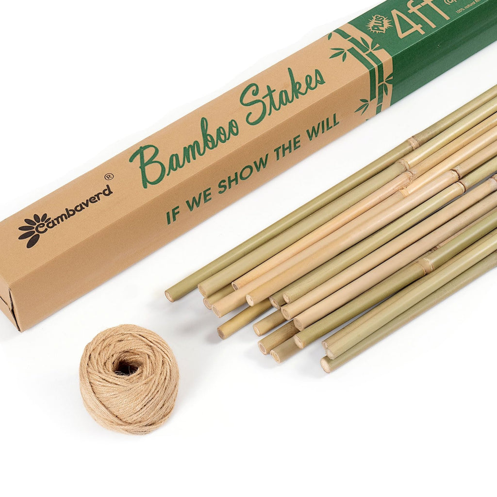 Cambaverd Bamboo Stakes 4ft, Thicker Plant Stakes with Garden Twine,20 Pack