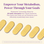 BariMelts Berberine Phytosome 550mg – Clinically Studied Berbevis for 4X Better Absorption vs Regular Berberine – Supports Metabolism & Blood Sugar – 60 Smooth-Coated Caplets