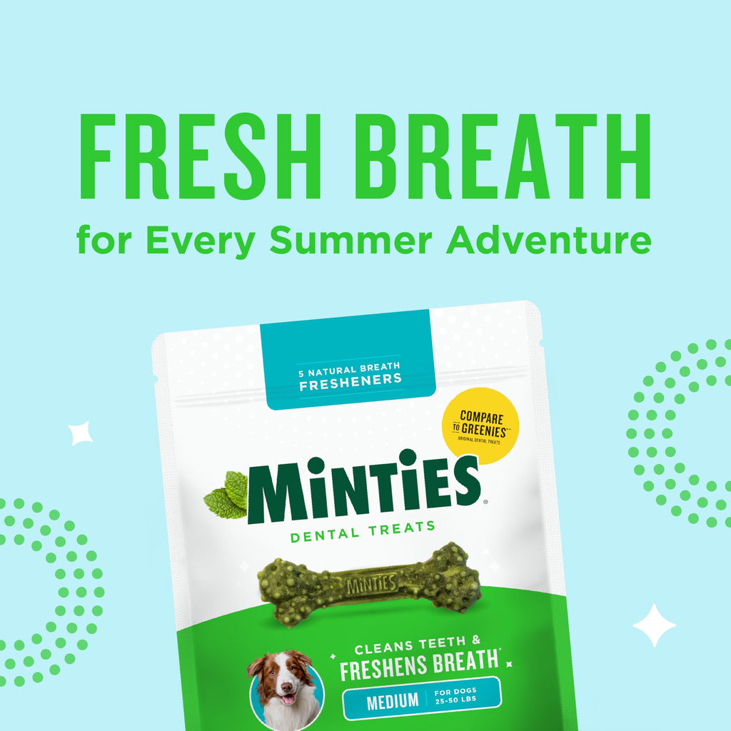 Minties Mint Dental Chews for Dogs, Medium Breeds 25-50 lbs, 60 Ct