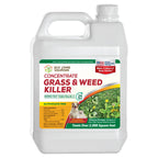 Eco Living Solutions Weed Killer Concentrate - Pet Safe, Organic Spray for Grass, Moss, Crabgrass & Dandelion | Glyphosate Free Herbicide (32 oz)