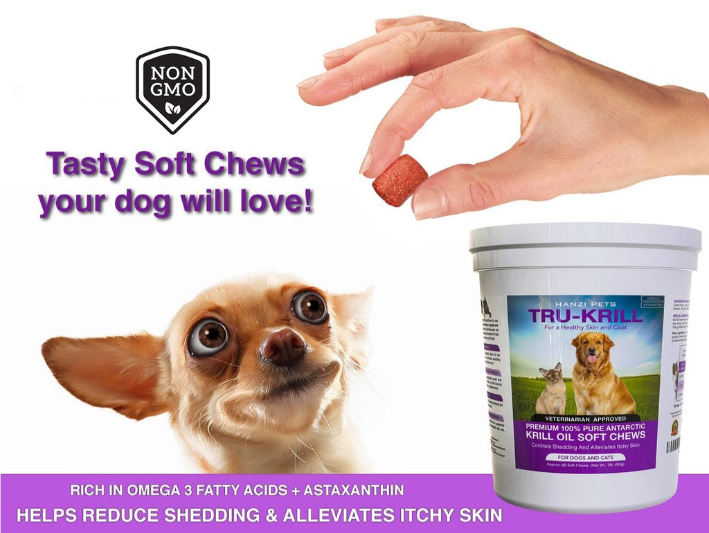 Hanzi Pets #1 Antarctic Krill Oil for Dogs Rich in Omega 3 Astaxanthin Vitamin E Skin and Coat Low Allergens Calories Certified Cgmp Made USA 60 Salty