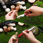 Seajan 18 Pcs Mushroom Foraging Kit with Hunting Bag, Knife Brush Guide Cards and Notebook for Mushroom Lovers(Black)