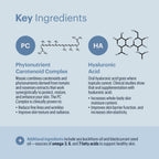 ELYSIUM Mosaic - Hyaluronic Acid Supplement - Clinically Proven - Fights Fine Lines & Skin Aging - Collagen Supplement - 30-Day Supply (Vegan Softgels)