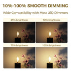 Hizashi E12 LED Bulb Dimmable, 3000K 40W Eq Candelabra Light Bulbs, 24Pack
