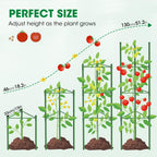 6 Pack Tomato Cages, 51.2in Tomato Plant Support Stakes Heavy-Duty, Garden Tomato Cages & Trellis for Climbing Vegetables, Tomatoes, Peppers, and Potted Plants(6)