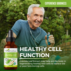 Herbal Goodness Organic Soursop Graviola Leaf Extract 1oz – 15X Concentrated Guanabana Liquid Tincture | USDA Organic & Kosher Certified | Supports Cell and Immune Wellness | Soursop Bitters Liquid