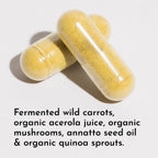 JUST INGREDIENTS Multivitamin Supplement - Plant-Based, Vegetarian Capsules, Muscle Growth, Immune Support - 60 Capsules