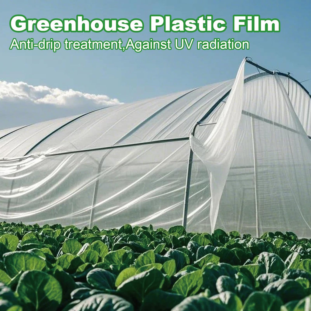 Greenhouse Plastic Sheeting 12 x 25ft - 6 Mil Clear Polyethylene Film, UV Resistant & Anti-Drip Heavy Duty Plastic Cover - Multi-Purpose Clear Tarp for Garden, Agriculture, and Construction (5-Layer)