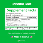 Healthfare Banaba Leaf Extract Capsules 3000mg | 90 Vegan Pills | Standardized with Corosolic Acid | Premium Herbal Supplement | Non-GMO, Gluten-Free | Made in USA