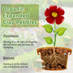 Riare 16LB Organic Leca Clay Pebbles for Plants, 4-16mm Drainage Leca Balls